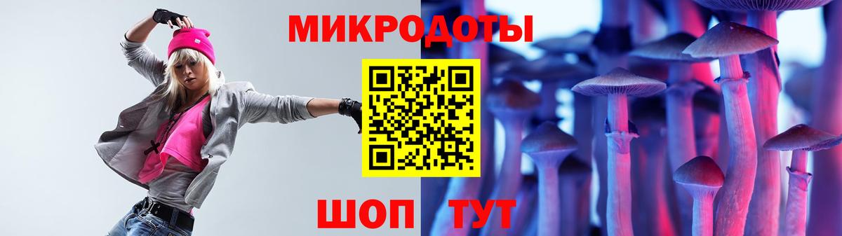 Псилоцибиновые грибы MAGIC MUSHROOMS  Вход с VPN  Новокубанск  Псилоцибиновые грибы прущие грибы 